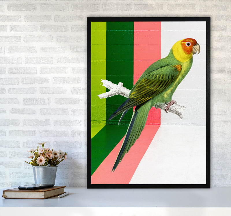 Graffiti Bird Art Print by Seven Trees Design A1 White Frame