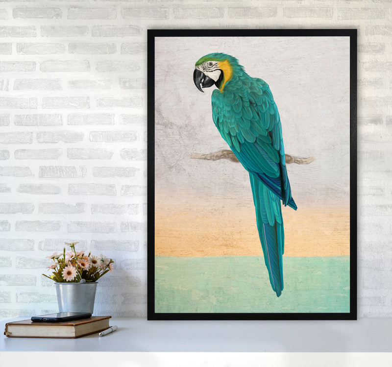 Graffiti Macaw Art Print by Seven Trees Design A1 White Frame