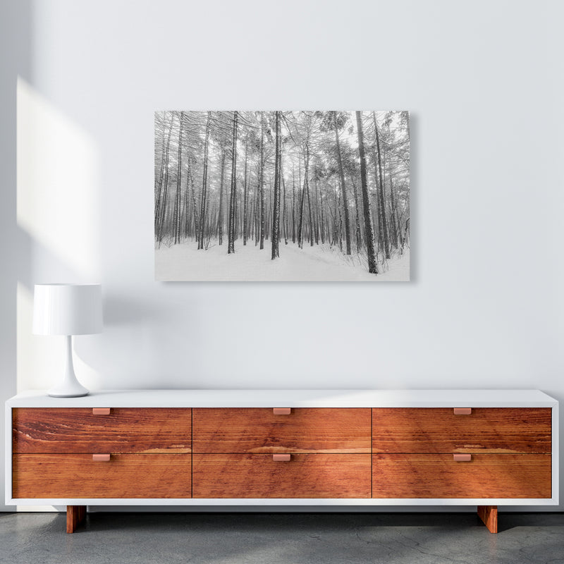 Let it snow forest Art Print by Seven Trees Design A1 Canvas