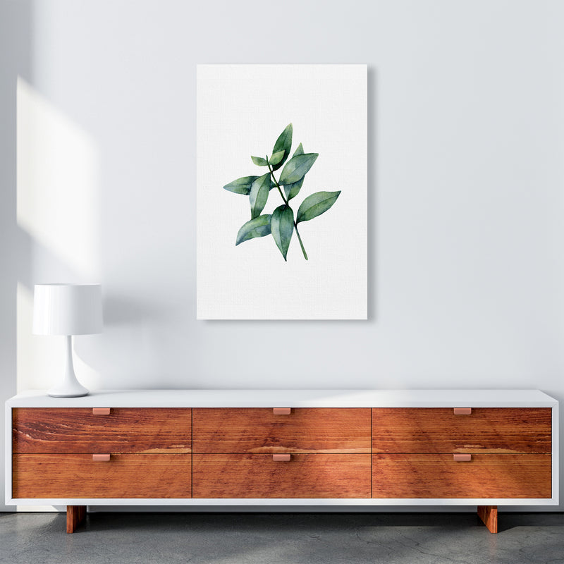 Watercolor Eucalyptus III Art Print by Seven Trees Design A1 Canvas