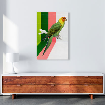 Graffiti Bird Art Print by Seven Trees Design A1 Canvas