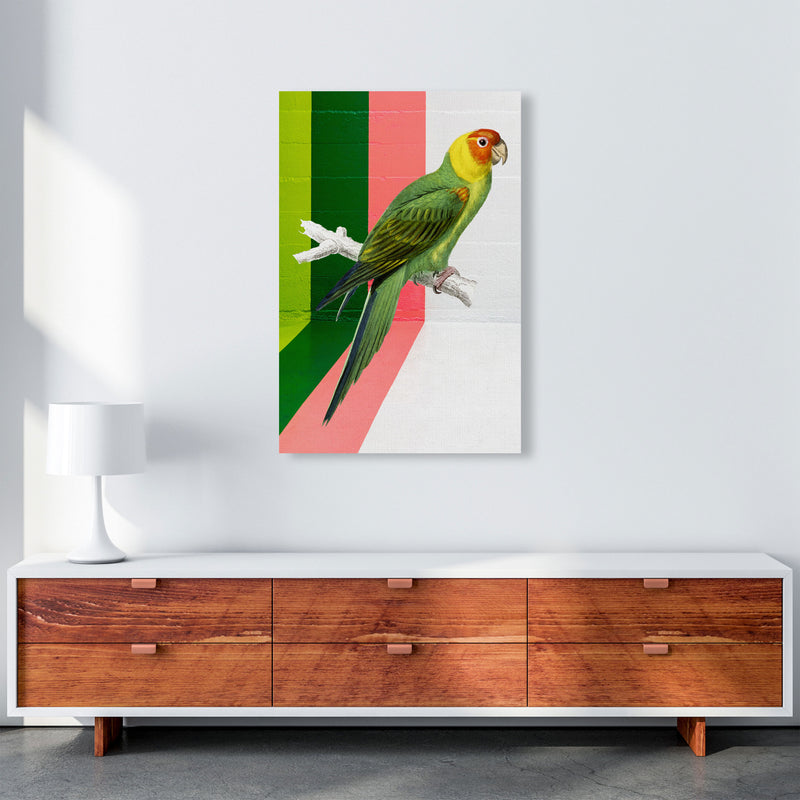 Graffiti Bird Art Print by Seven Trees Design A1 Canvas