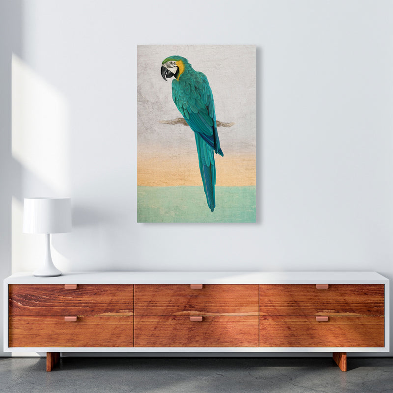 Graffiti Macaw Art Print by Seven Trees Design A1 Canvas