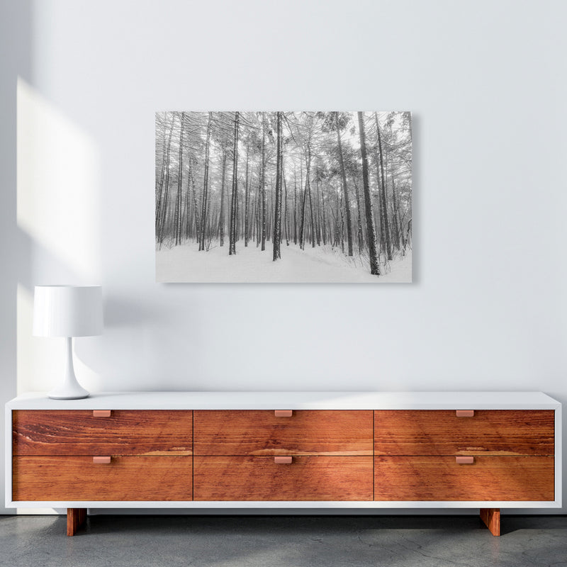 Let it snow forest Art Print by Seven Trees Design A1 Canvas