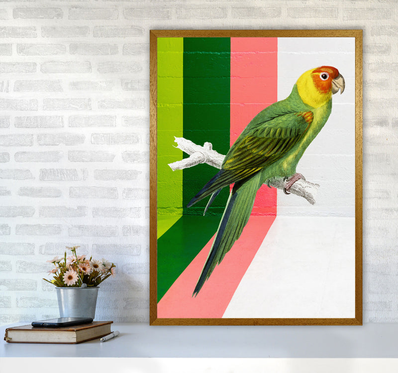 Graffiti Bird Art Print by Seven Trees Design A1 Print Only
