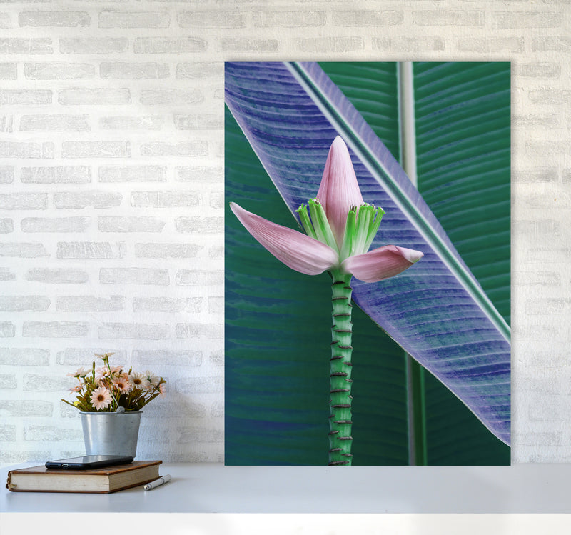 The Banana Flower Art Print by Seven Trees Design A1 Black Frame