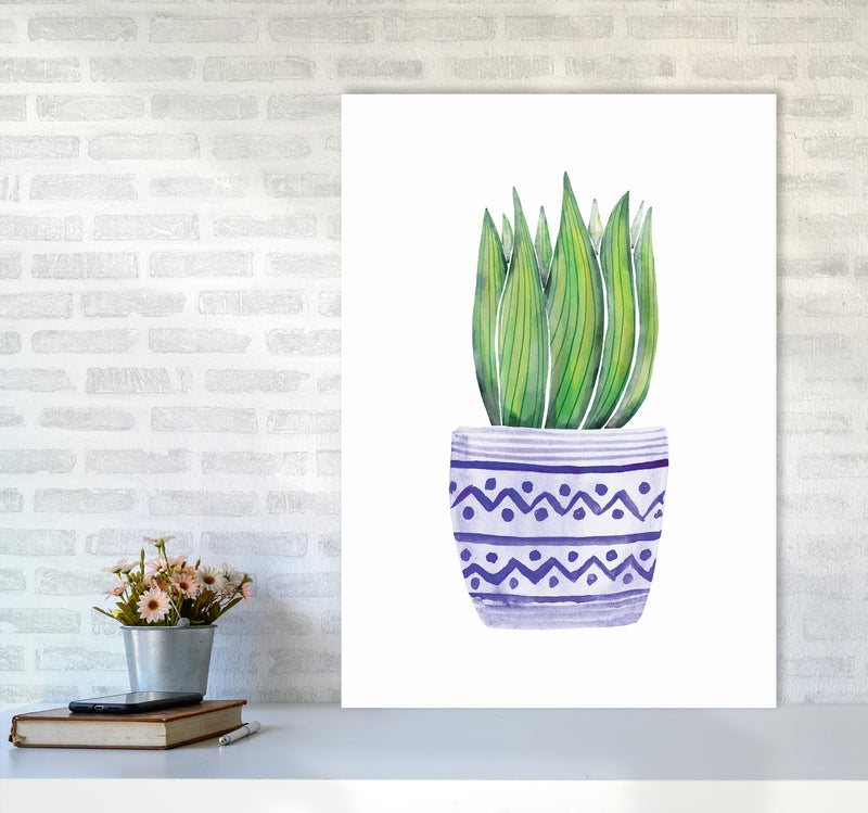 The Blue Succulent Art Print by Seven Trees Design A1 Black Frame