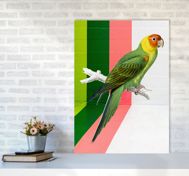 Graffiti Bird Art Print by Seven Trees Design A1 Black Frame