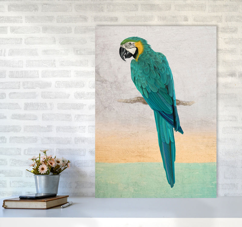 Graffiti Macaw Art Print by Seven Trees Design A1 Black Frame