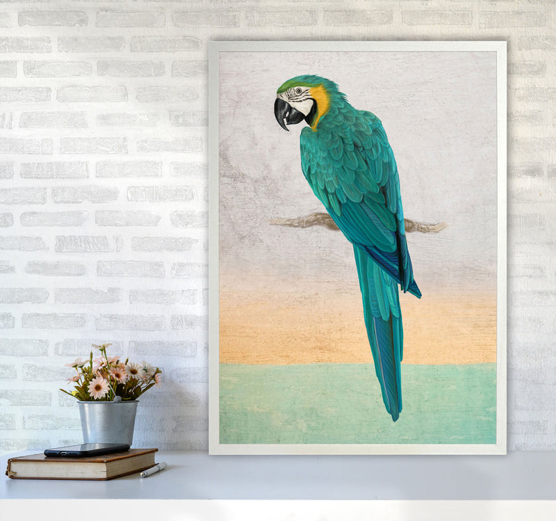 Graffiti Macaw Art Print by Seven Trees Design A1 Oak Frame