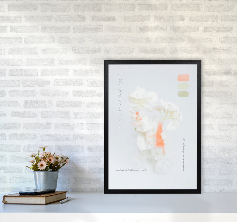Modern Vintage Botanic Art Print by Seven Trees Design A2 White Frame