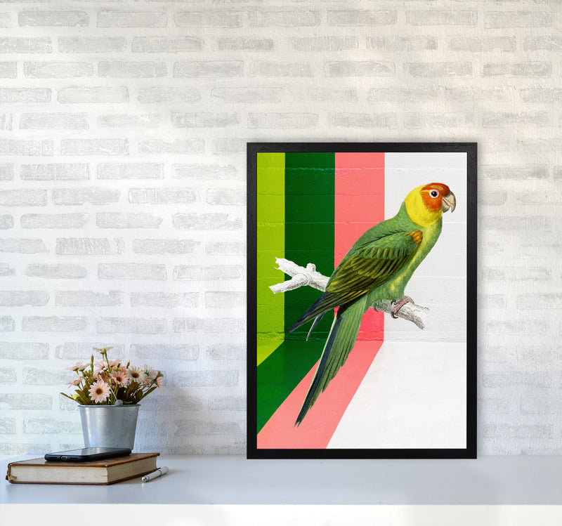Graffiti Bird Art Print by Seven Trees Design A2 White Frame