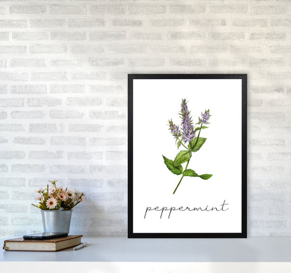 peppermint Art Print by Seven Trees Design A2 White Frame