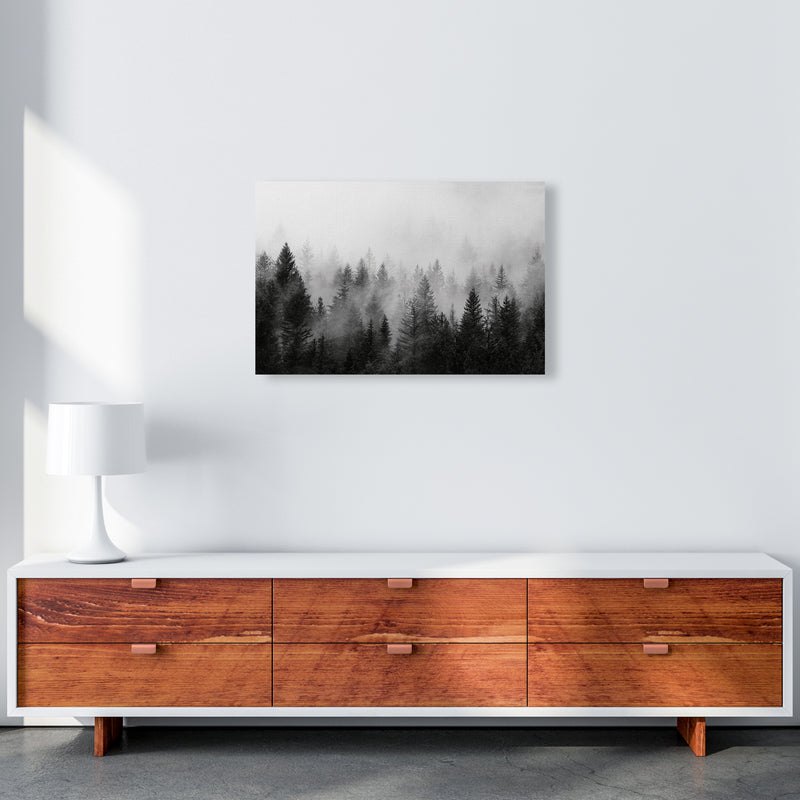 B&W Forest Photography Art Print by Seven Trees Design A2 Canvas