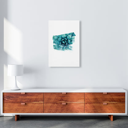Modern Succulent II Art Print by Seven Trees Design A2 Canvas