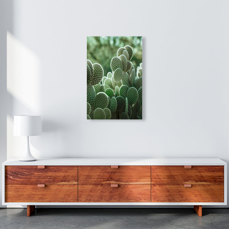 The Cacti Cactus B&W Art Print by Seven Trees Design A2 Canvas