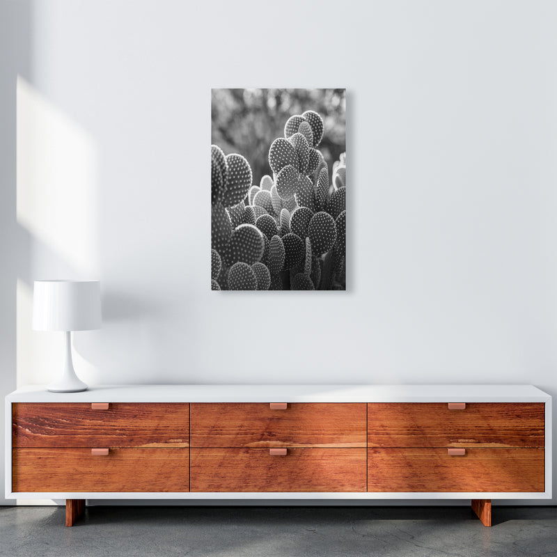 The Cacti Cactus Photography Art Print by Seven Trees Design A2 Canvas