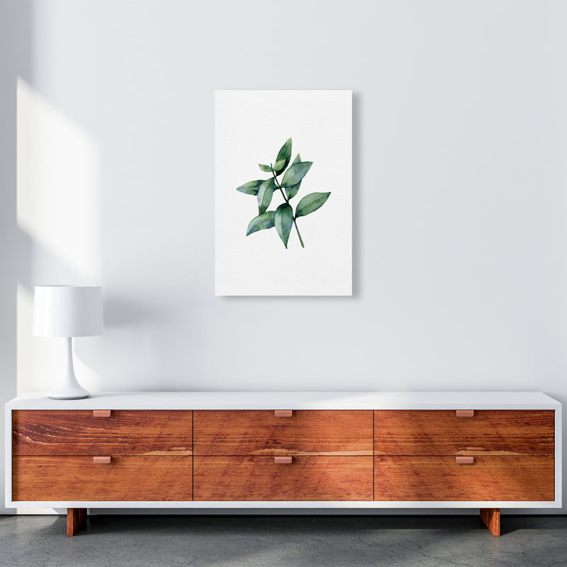 Watercolor Eucalyptus III Art Print by Seven Trees Design A2 Canvas