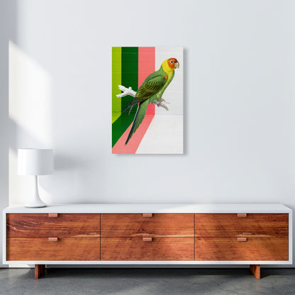 Graffiti Bird Art Print by Seven Trees Design A2 Canvas