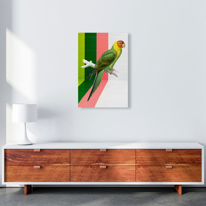 Graffiti Bird Art Print by Seven Trees Design A2 Canvas
