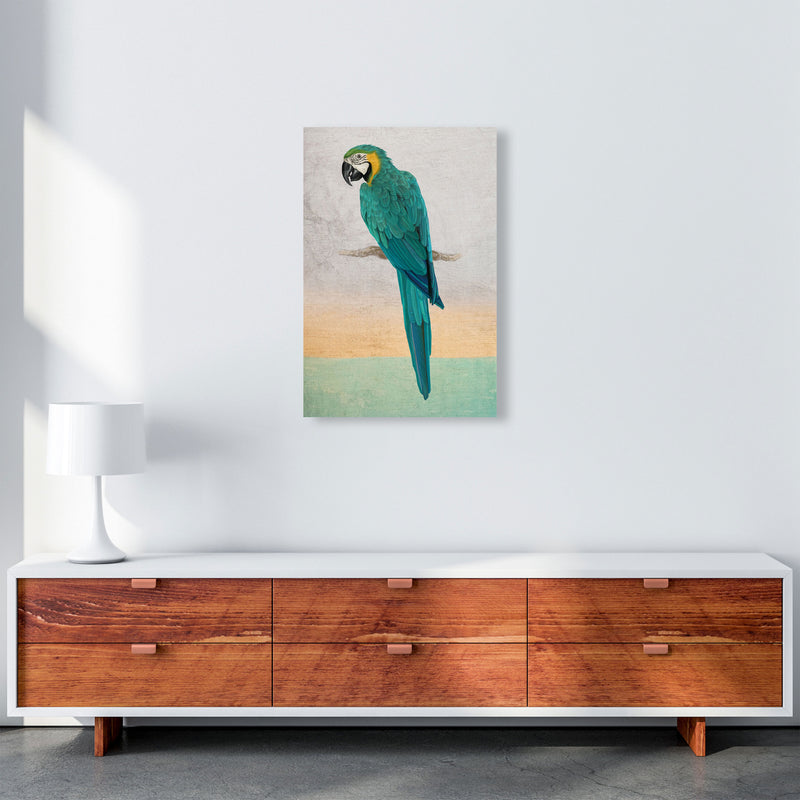 Graffiti Macaw Art Print by Seven Trees Design A2 Canvas