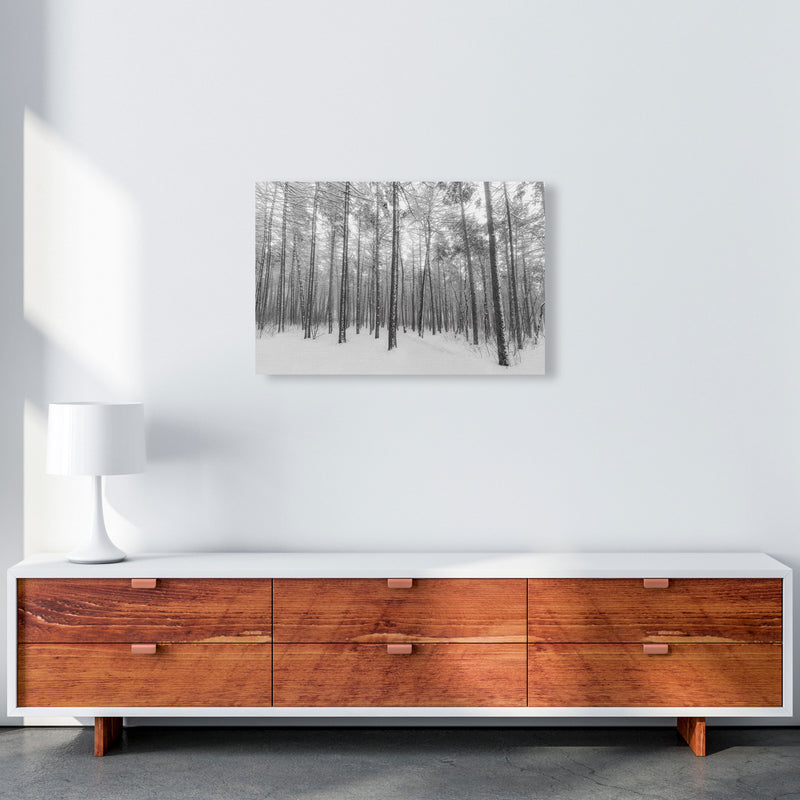 Let it snow forest Art Print by Seven Trees Design A2 Canvas