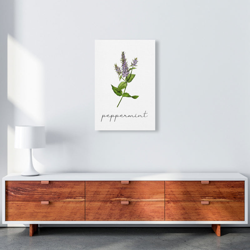peppermint Art Print by Seven Trees Design A2 Canvas