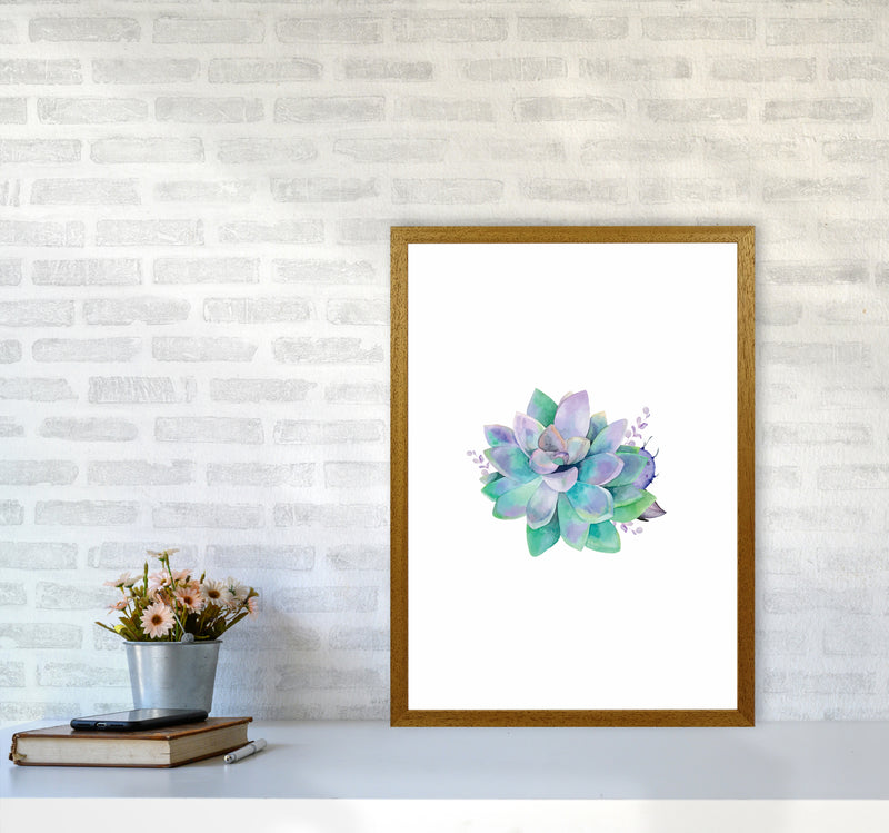 Aqua Succulent Botanical Art Print by Seven Trees Design A2 Print Only