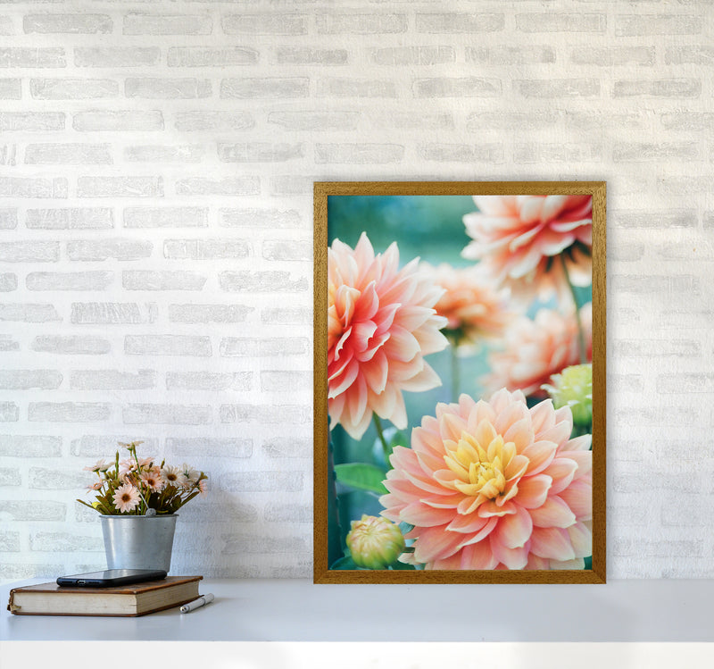 Happy Flowers Photography Art Print by Seven Trees Design A2 Print Only