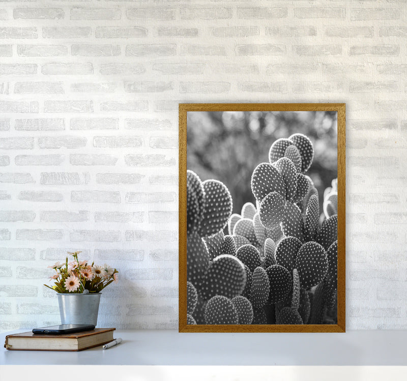 The Cacti Cactus B&W Art Print by Seven Trees Design