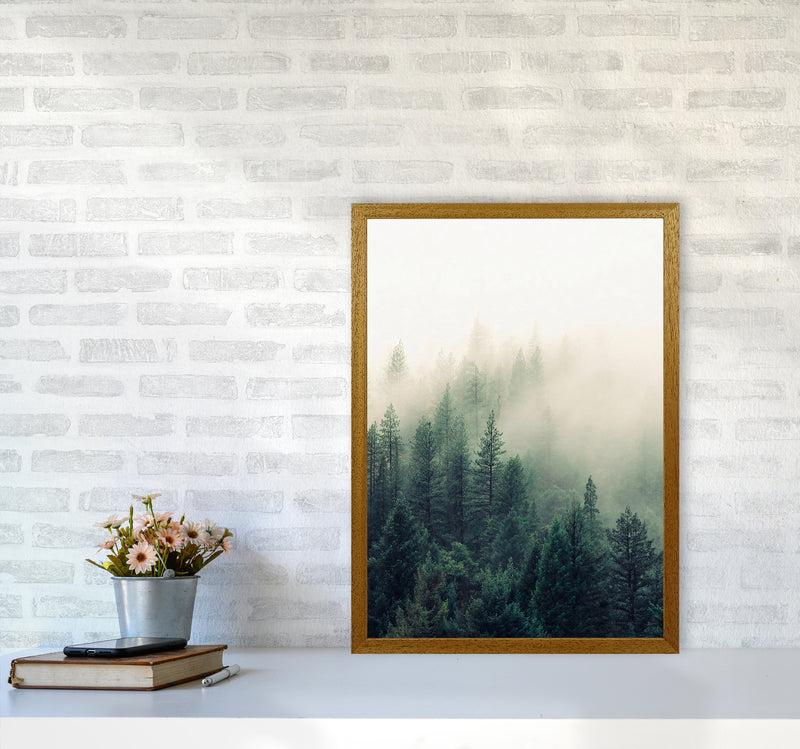 The Fog And The Forest II Photography Art Print by Seven Trees Design A2 Print Only
