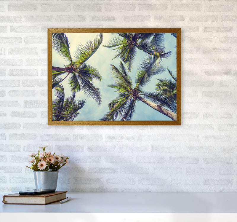 The Palms Photography Art Print by Seven Trees Design A2 Print Only