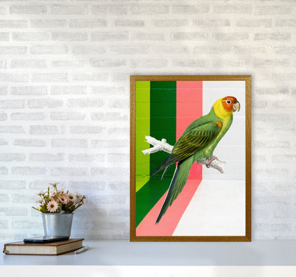 Graffiti Bird Art Print by Seven Trees Design A2 Print Only