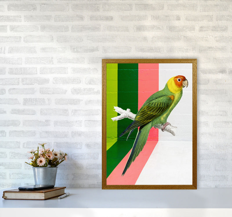 Graffiti Bird Art Print by Seven Trees Design A2 Print Only