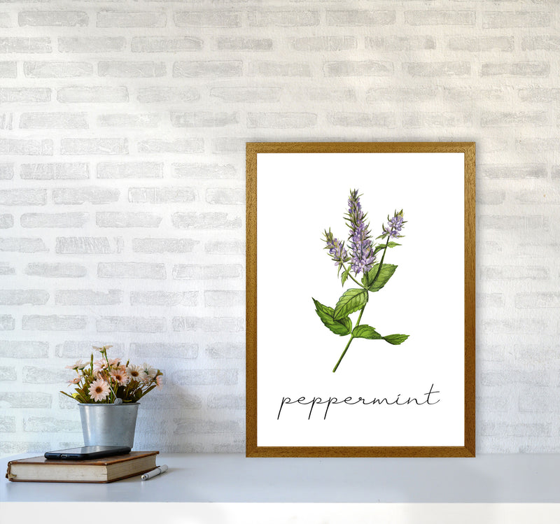peppermint Art Print by Seven Trees Design A2 Print Only