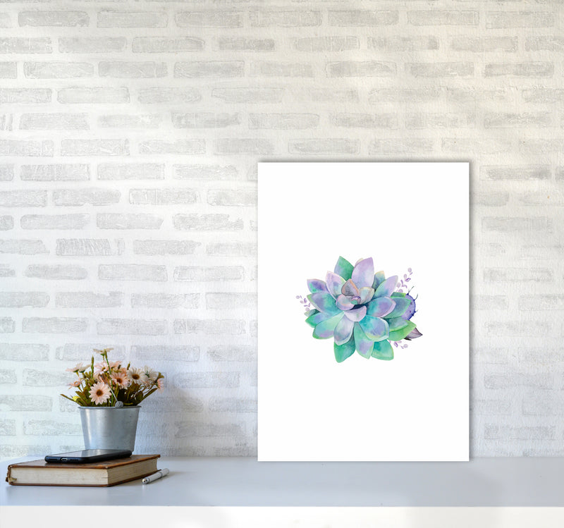 Aqua Succulent Botanical Art Print by Seven Trees Design A2 Black Frame