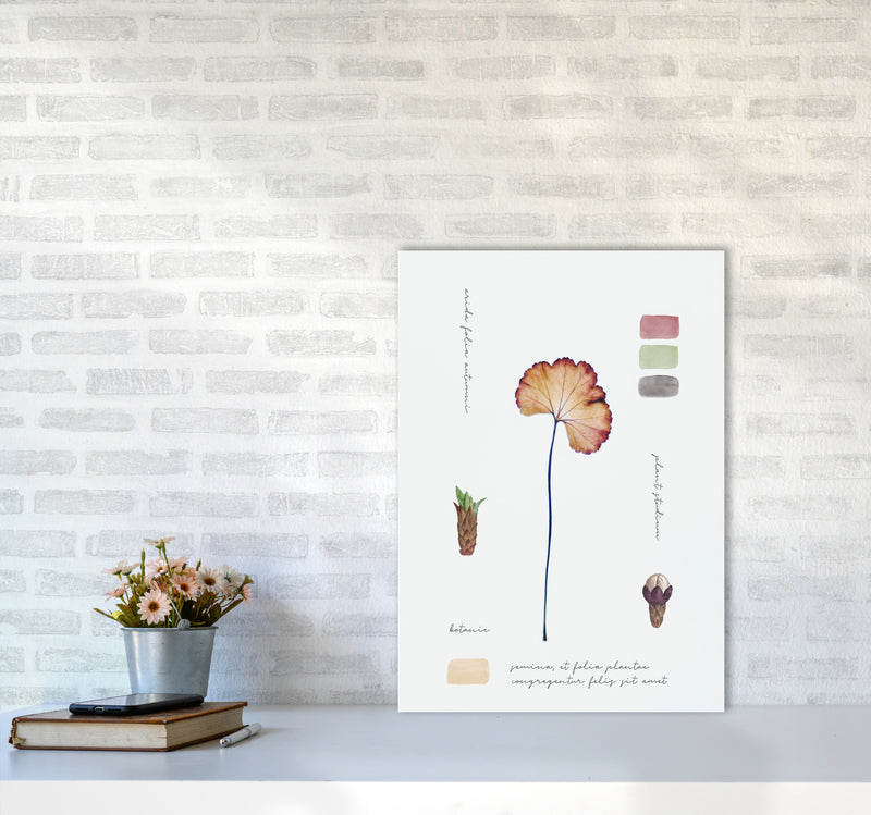 Botanic Notes Art Print by Seven Trees Design A2 Black Frame