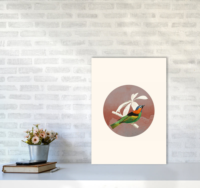 Bird Collage II Art Print by Seven Trees Design A2 Black Frame