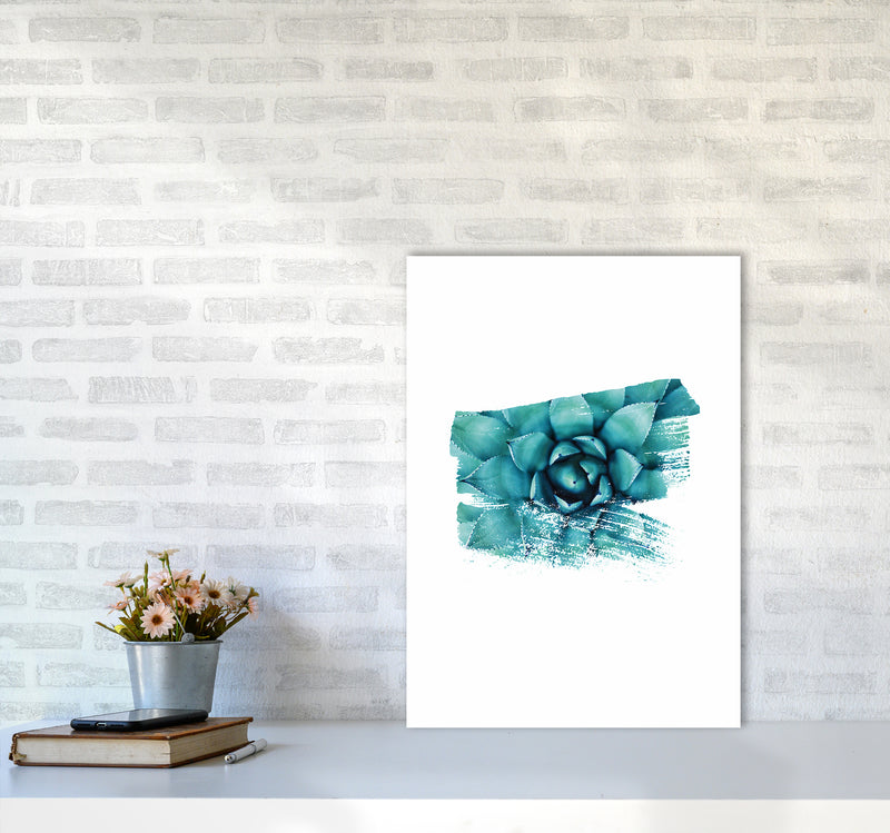 Modern Succulent II Art Print by Seven Trees Design A2 Black Frame