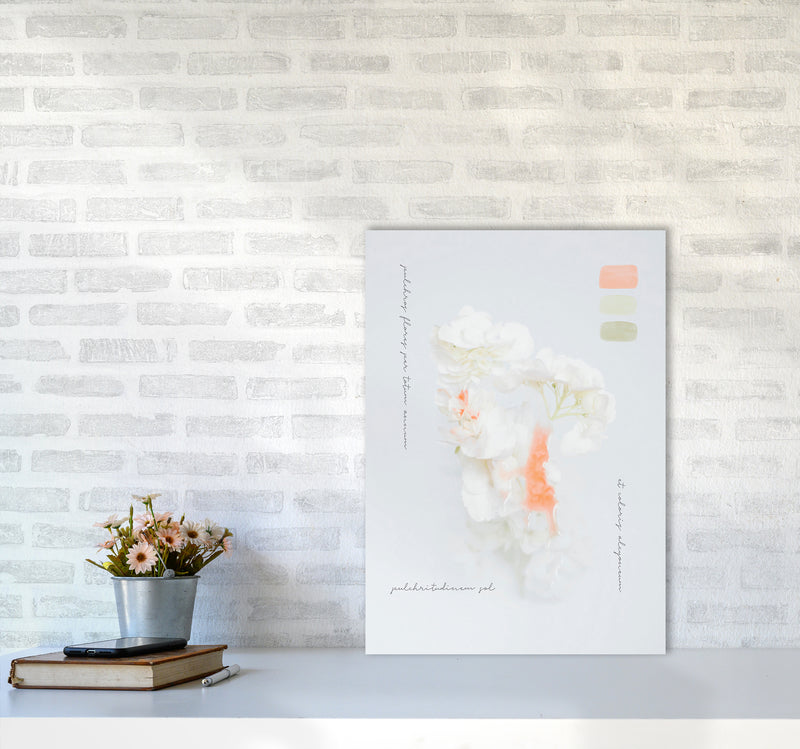 Modern Vintage Botanic Art Print by Seven Trees Design A2 Black Frame