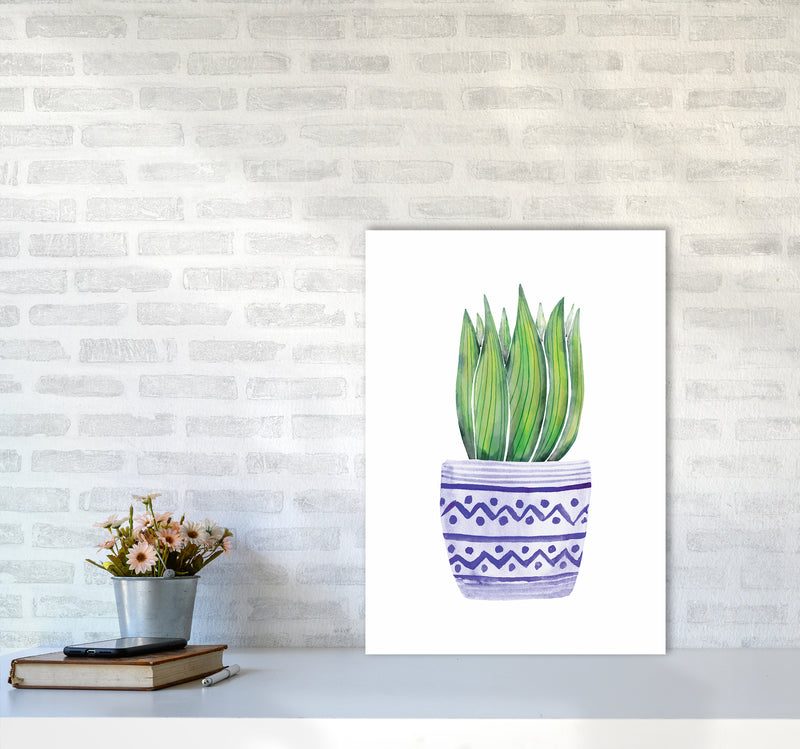 The Blue Succulent Art Print by Seven Trees Design A2 Black Frame