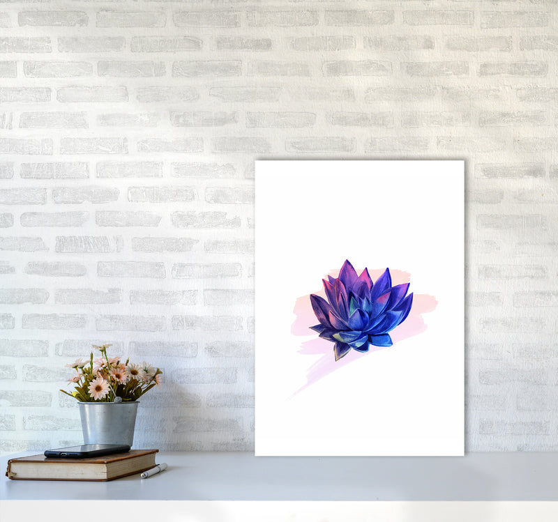 The Modern Succulent Art Print by Seven Trees Design A2 Black Frame