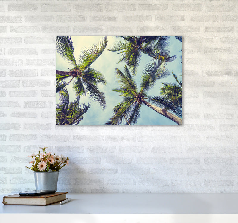 The Palms Photography Art Print by Seven Trees Design A2 Black Frame