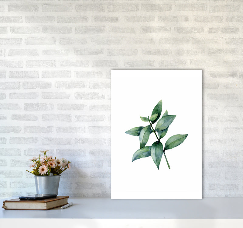 Watercolor Eucalyptus III Art Print by Seven Trees Design A2 Black Frame