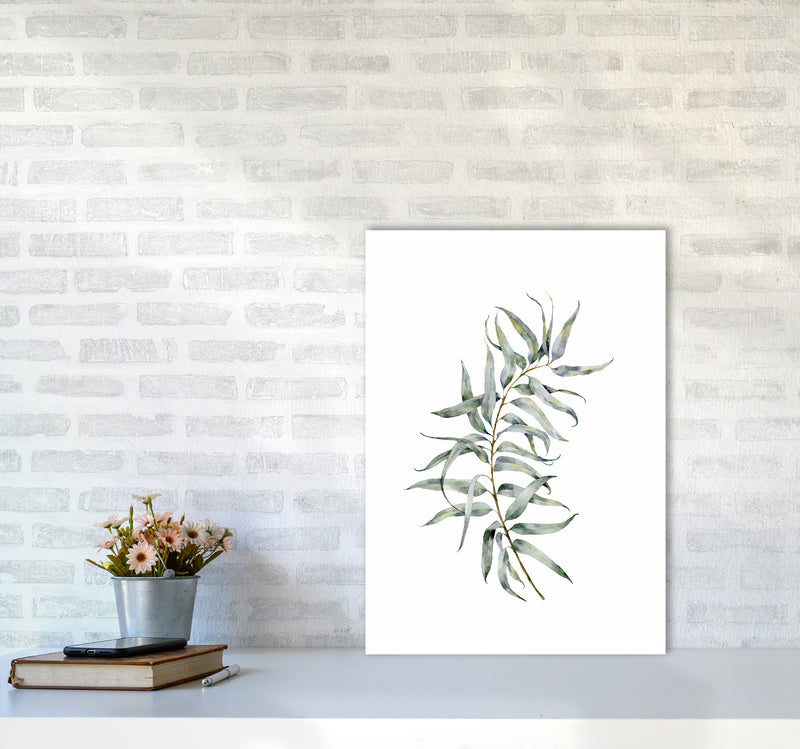 Watercolor Eucalyptus IV Art Print by Seven Trees Design A2 Black Frame