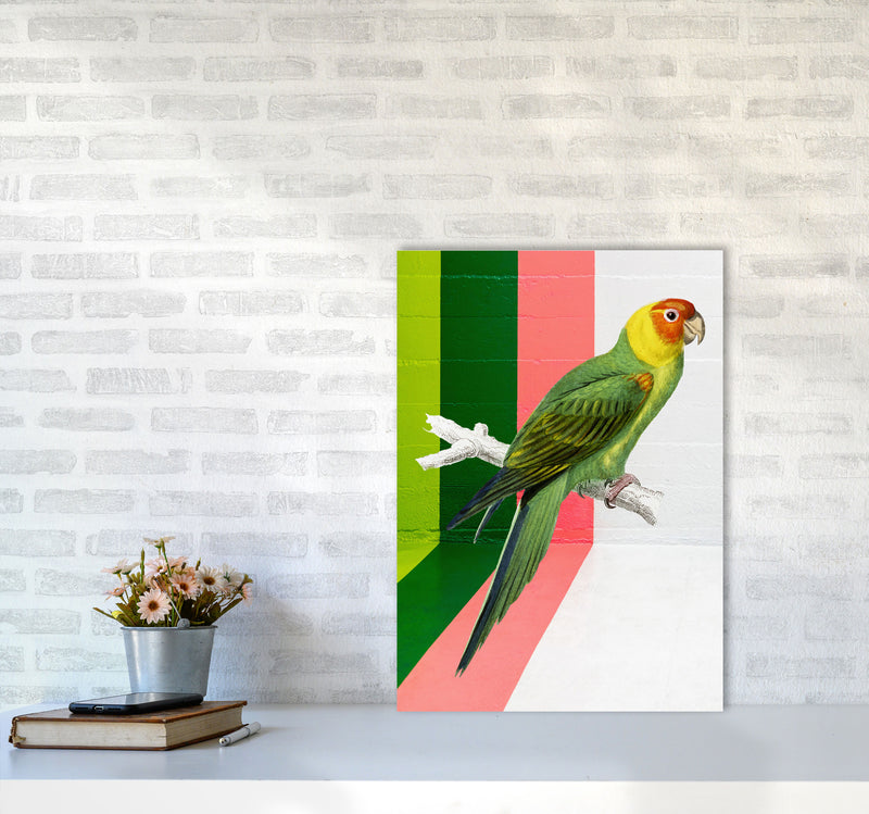Graffiti Bird Art Print by Seven Trees Design A2 Black Frame