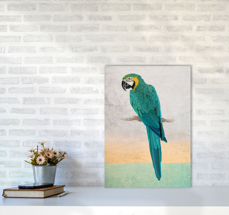 Graffiti Macaw Art Print by Seven Trees Design A2 Black Frame