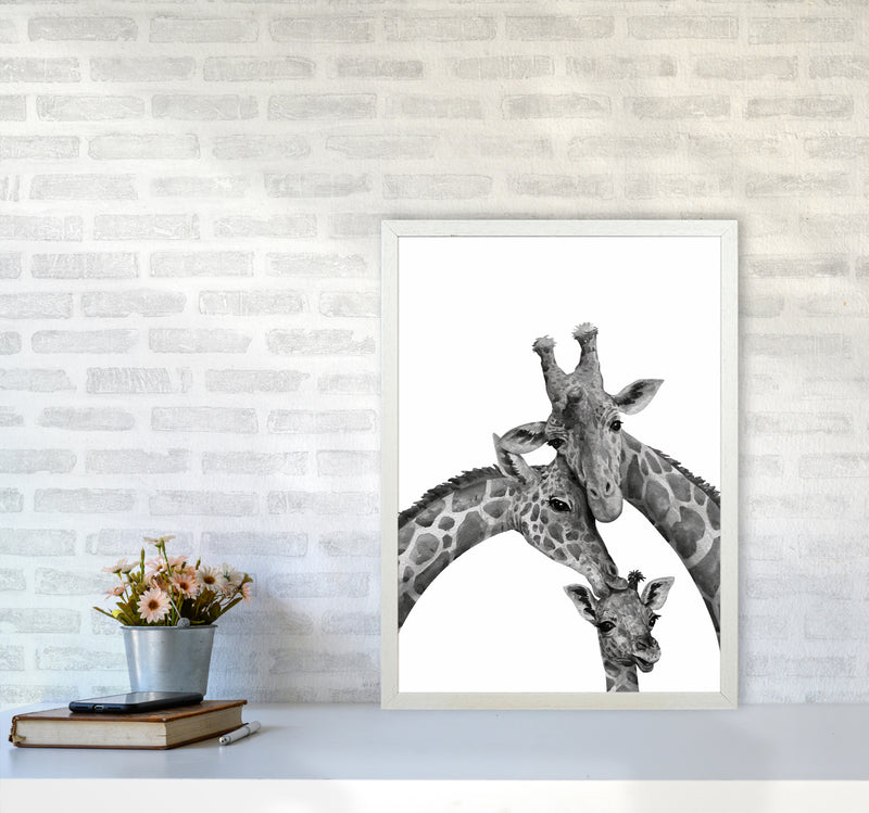 Giraffe Family Photography Art Print by Seven Trees Design A2 Oak Frame