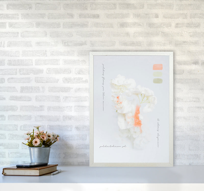 Modern Vintage Botanic Art Print by Seven Trees Design A2 Oak Frame