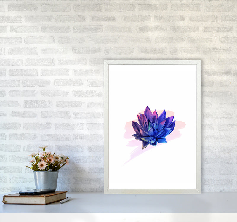 The Modern Succulent Art Print by Seven Trees Design A2 Oak Frame